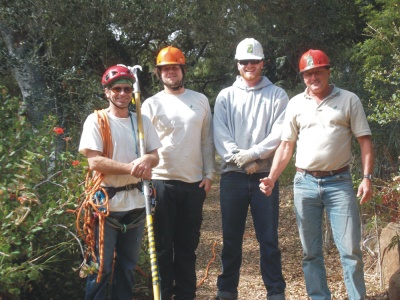 Tree Pruning Crew